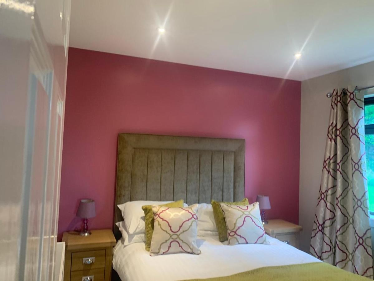 Birch Lodge 20 With Hot Tub Newton Stewart Extérieur photo